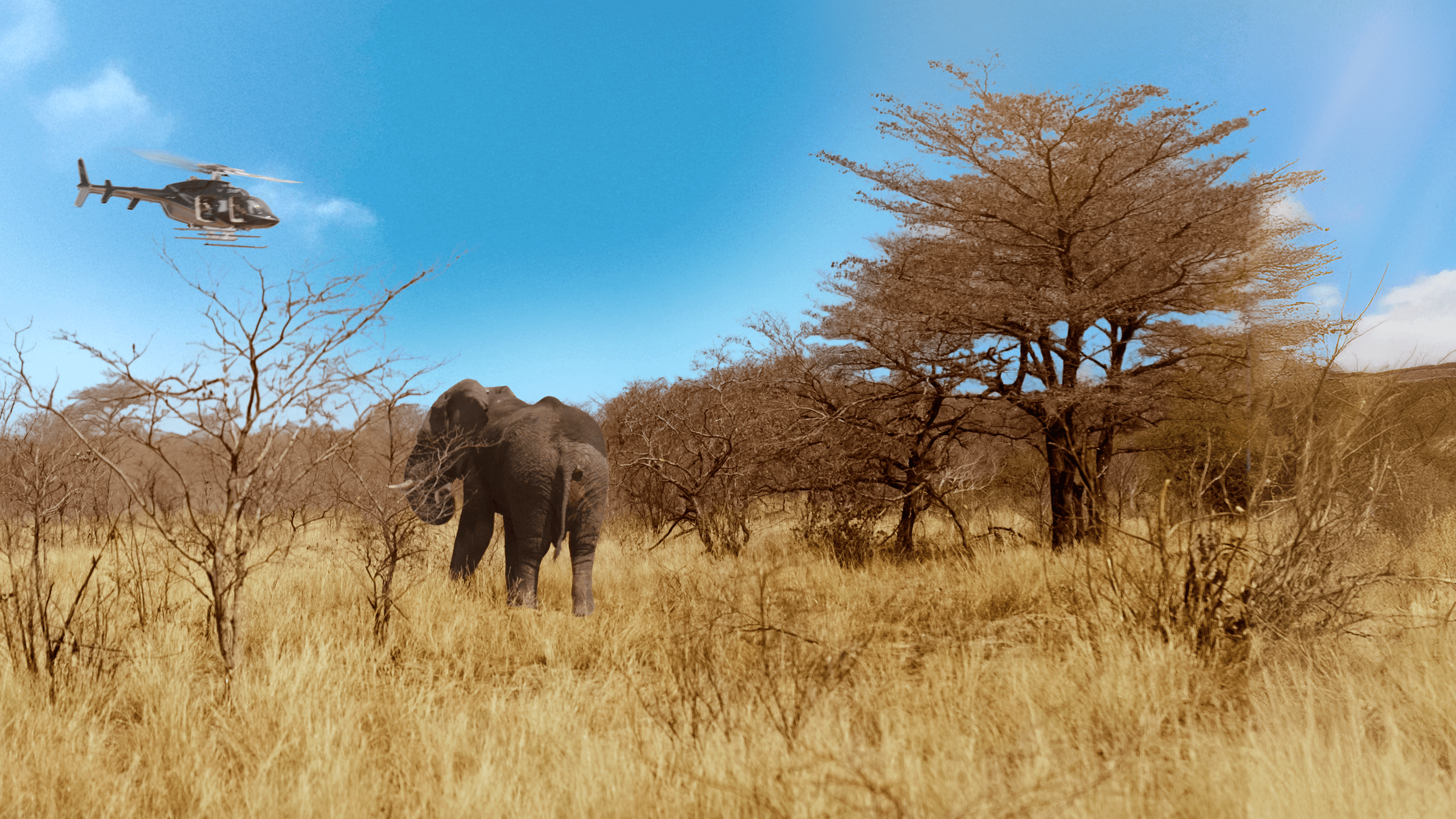 Extreme Airport Africa — International for Smithsonian / Paramount +